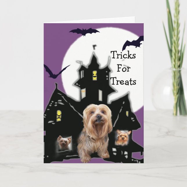 Tarjeta de saludo de Yorkshire Terrier Halloween (Anverso)