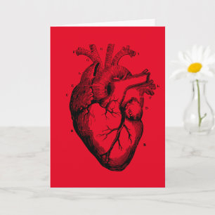 Tarjeta de saludo del Diagrama del corazón humano 