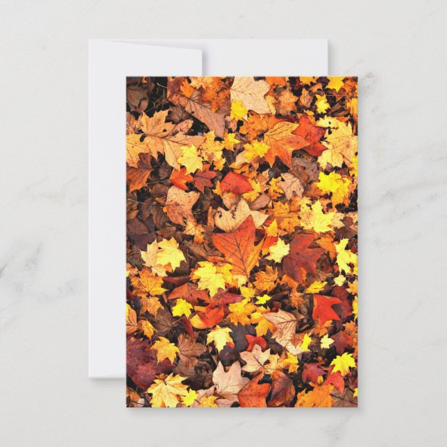 Tarjeta de saludo del Fall Foliage (Anverso)