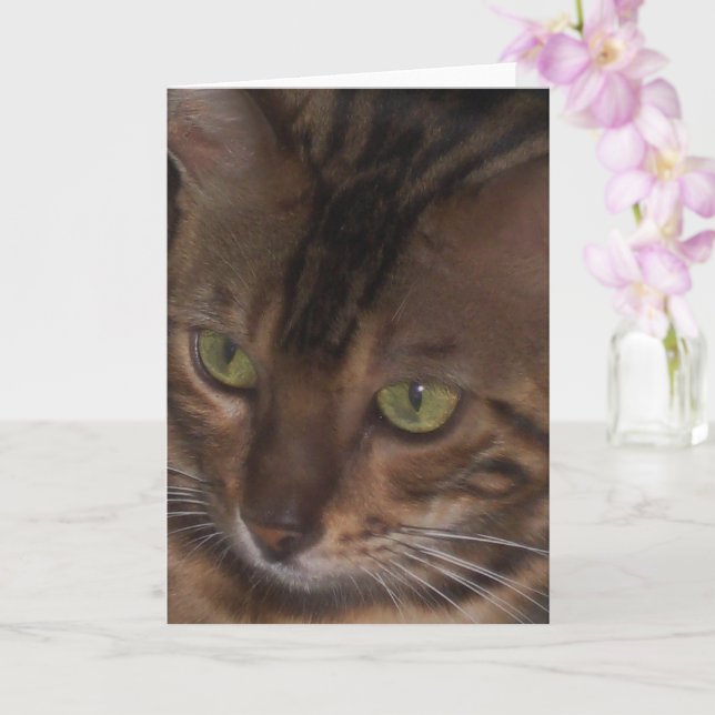 Tarjeta de saludo del gato de Bengala (Orquídea)