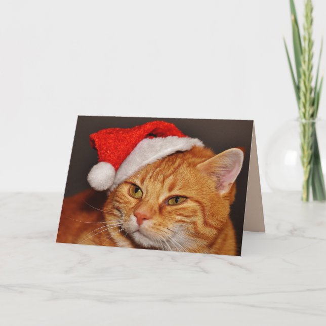 tarjeta de saludo del gato de los navidades (Anverso)