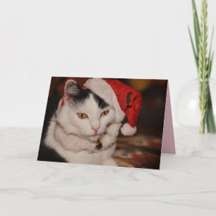tarjeta de saludo del gato de los navidades