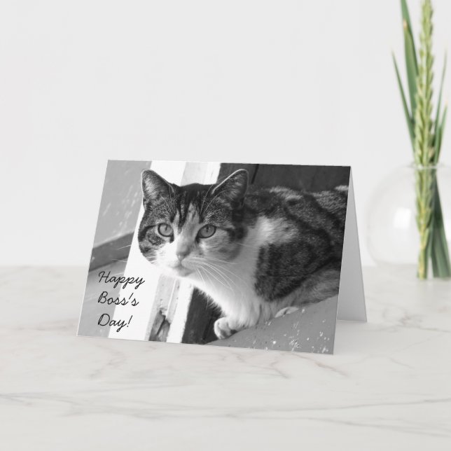 Tarjeta de saludo del Gato del Feliz Día del Jefe (Anverso)