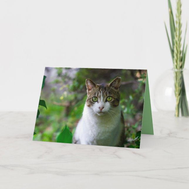 tarjeta de saludo del gato del jardín (Anverso)