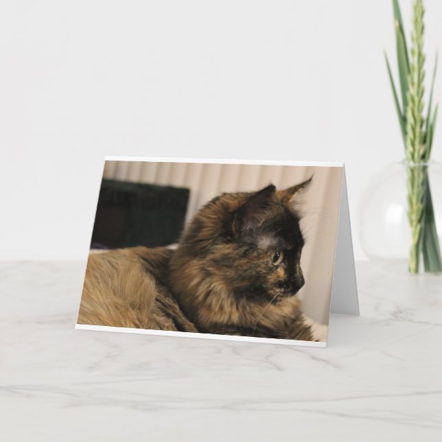 Tarjeta de saludo del gato Tortoiseshell - en blan (Anverso)