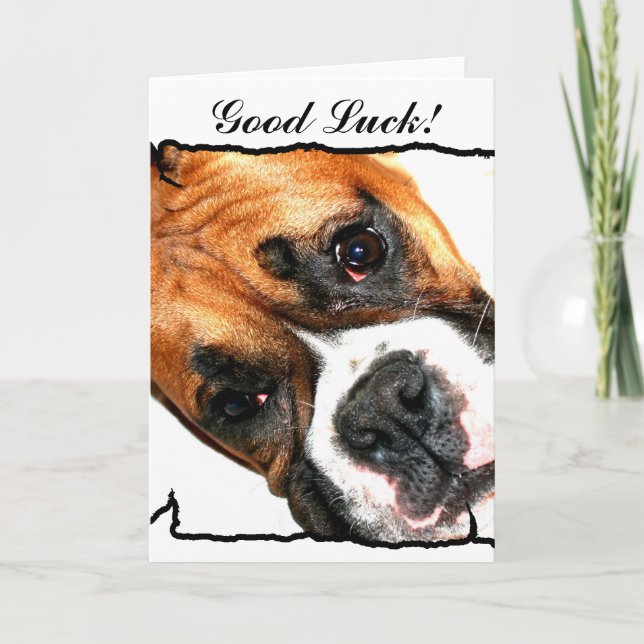 Tarjeta de saludo del perro boxeador Good Luck (Anverso)