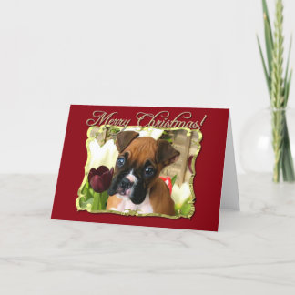 Tarjeta de saludo del perro del Boxer de Navidad d