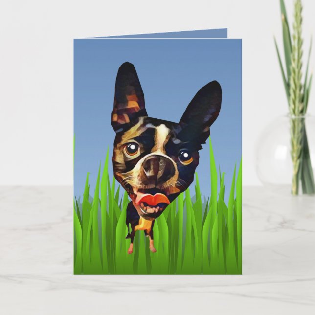 Tarjeta de saludo del Personalizado Boston Terrier (Anverso)