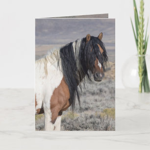 Tarjeta de saludo del retrato del caballo salvaje