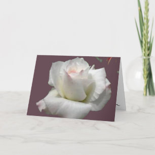 Tarjeta de saludo del Rosa de la pasión blanca