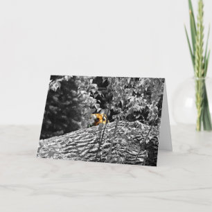 Tarjeta de saludo del tigre Peek-a-boo