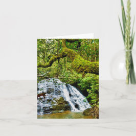 Tarjeta de saludo doblada con cascada