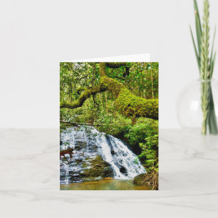 Tarjeta de saludo doblada con cascada