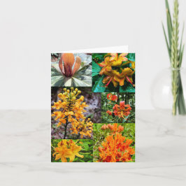 Tarjeta de saludo doblada con collage de flores si