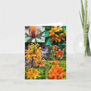 Tarjeta de saludo doblada con collage de flores si