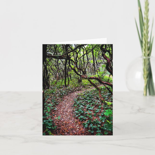 Tarjeta de saludo doblada con escena al aire libre (Anverso)