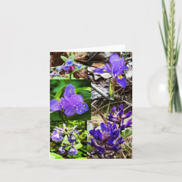 Tarjeta de saludo doblada con flores silvestres mo