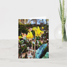 Tarjeta de saludo doblada con foto de una flor sil