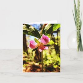 Tarjeta de saludo doblada con foto de una flor sil