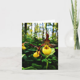 Tarjeta de saludo doblada con foto de una flor sil
