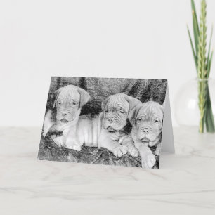 Tarjeta de saludo Dogue de Bordeaux