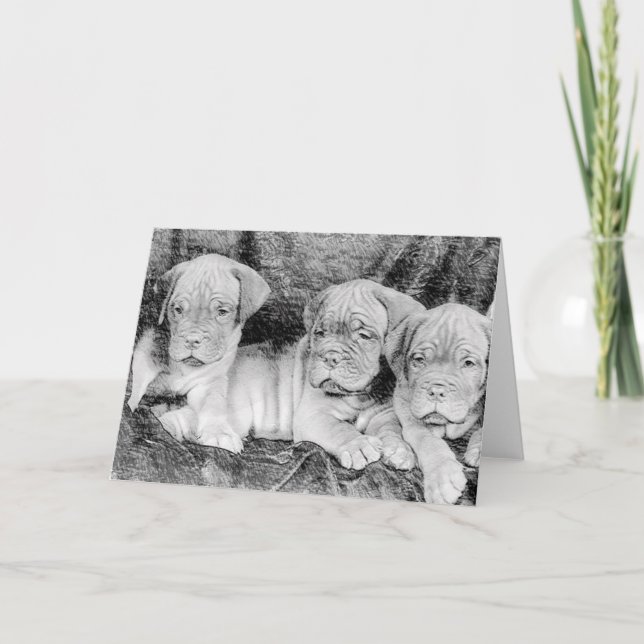 Tarjeta de saludo Dogue de Bordeaux (Anverso)