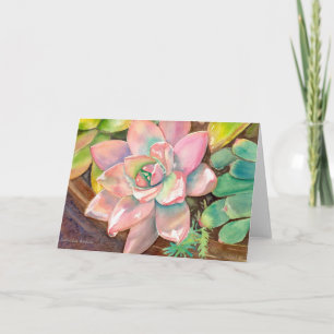 Tarjeta de saludo Echeveria Rosa de Debra Lee Bald