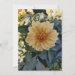 Tarjeta de saludo en blanco amarilla Dahlia Summer