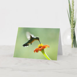 Tarjeta de saludo en blanco con colibrí y flor