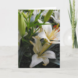 Tarjeta de saludo en blanco con flores de lirio bl