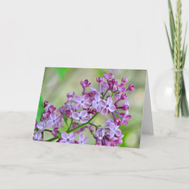 Tarjeta de saludo en blanco con Flores Lilac