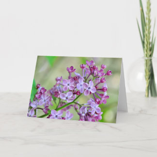 Tarjeta de saludo en blanco con Flores Lilac