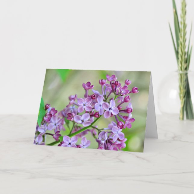 Tarjeta de saludo en blanco con Flores Lilac (Anverso)