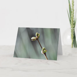 Tarjeta de saludo en blanco con foto de Budding Li