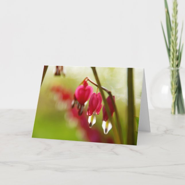 Tarjeta de saludo en blanco con foto de Corazones  (Anverso)