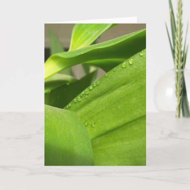 Tarjeta de saludo en blanco con hojas de orquídeas (Anverso)