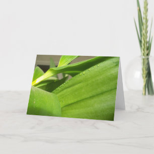 Tarjeta de saludo en blanco con hojas de orquídeas