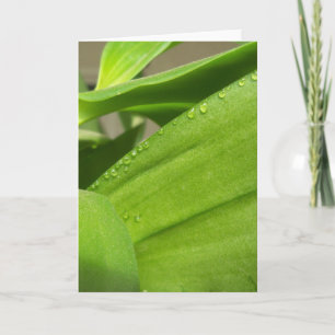 Tarjeta de saludo en blanco con hojas de orquídeas