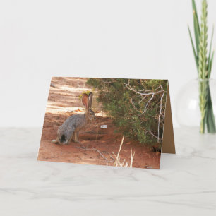 Tarjeta de saludo en blanco con Jackrabbit en el d