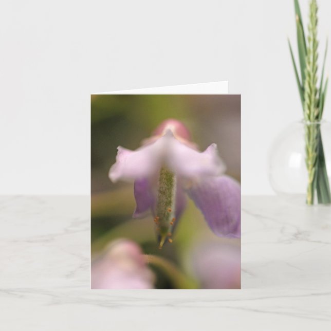 Tarjeta de saludo en blanco de flor Spirit Blank (Anverso)