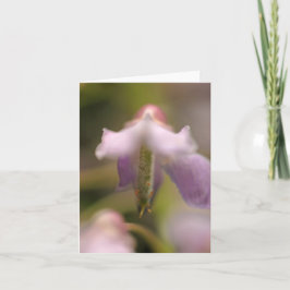 Tarjeta de saludo en blanco de flor Spirit Blank