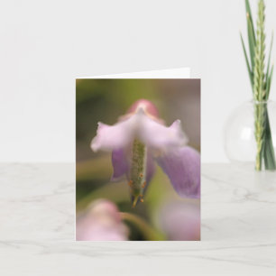 Tarjeta de saludo en blanco de flor Spirit Blank
