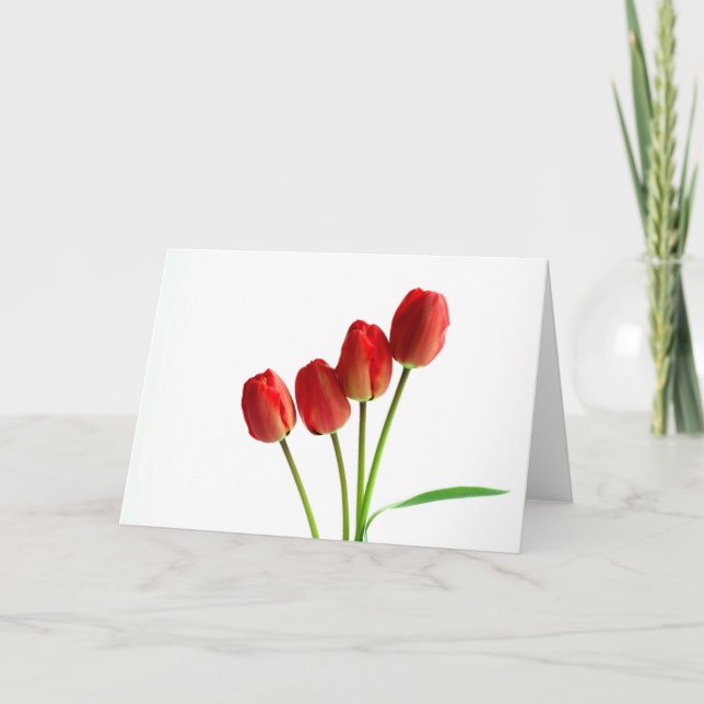 Tarjeta de saludo en blanco de tulipanes rojos (Anverso)