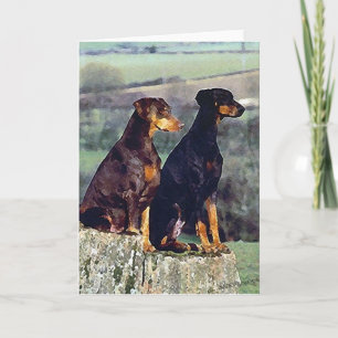 Tarjeta de saludo en blanco Doberman Dog Portrait