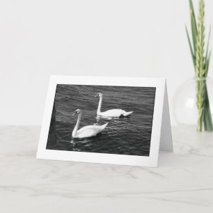 Tarjeta de saludo en blanco 'Dos cisnes mudos'