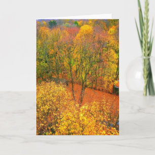 Tarjeta de saludo en blanco 'Fiery Autumn'