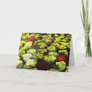 Tarjeta de saludo en blanco 'Flores de otoño'