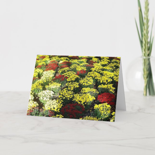 Tarjeta de saludo en blanco 'Flores de otoño' (Anverso)