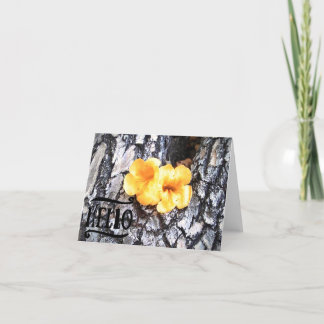 Tarjeta de saludo en blanco Hello con aclamanda am