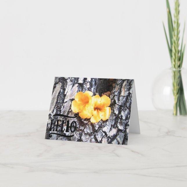 Tarjeta de saludo en blanco Hello con aclamanda am (Anverso)